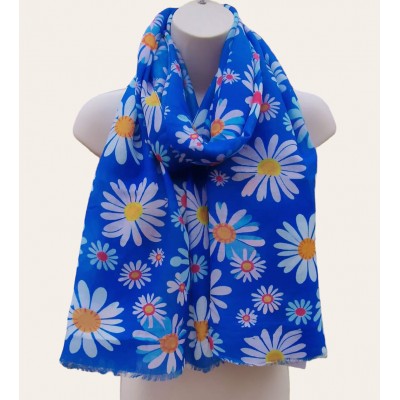 Colourful Daisies